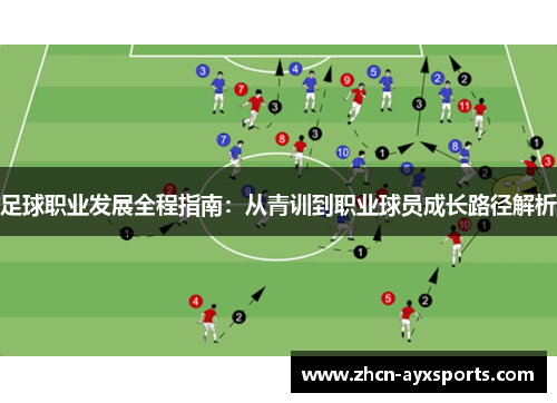 足球职业发展全程指南：从青训到职业球员成长路径解析