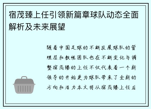 宿茂臻上任引领新篇章球队动态全面解析及未来展望