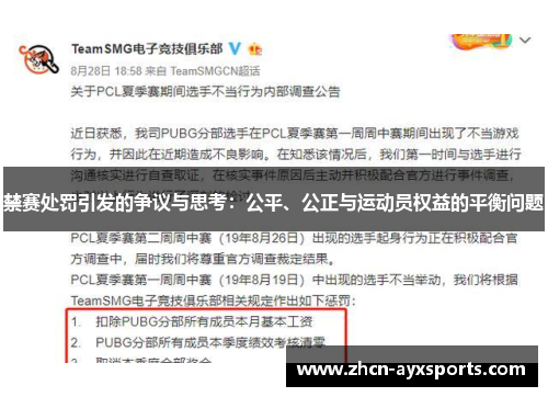 禁赛处罚引发的争议与思考：公平、公正与运动员权益的平衡问题