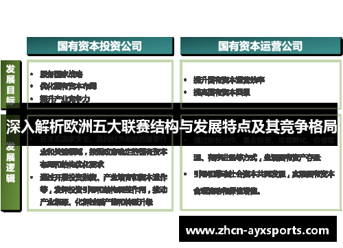 深入解析欧洲五大联赛结构与发展特点及其竞争格局